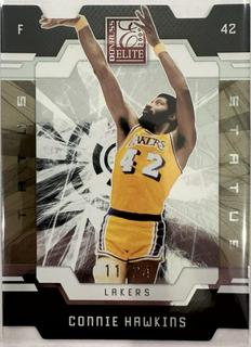 Connie Hawkins