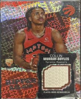 Collin Murray-Boyles