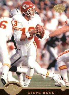 Steve Bono