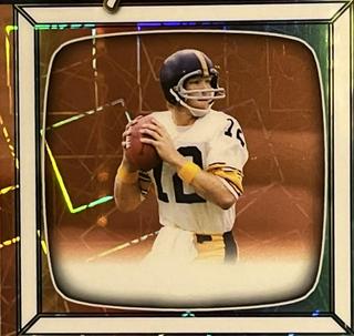 Terry Bradshaw