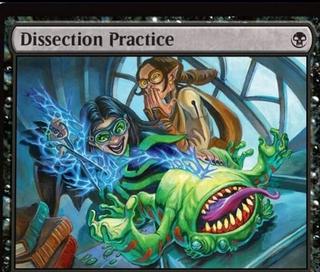 Dissection Practice]