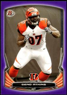 Geno Atkins