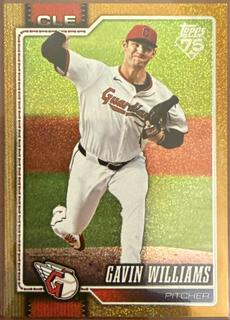 Gavin Williams