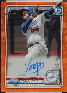 Miguel Vargas