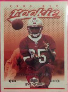 Brandon Lloyd