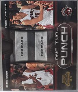 Chris Bosh / Hedo Turkoglu