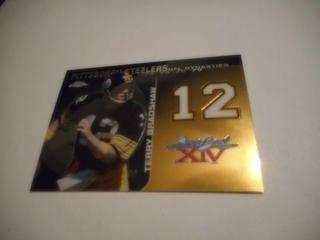Terry Bradshaw