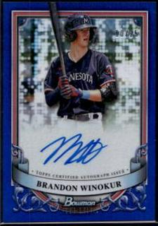 Brandon Winokur
