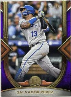 Salvador Perez