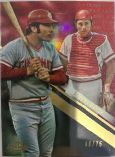 Johnny Bench