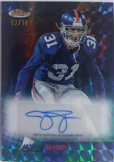Jason Sehorn