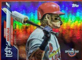 Yadier Molina