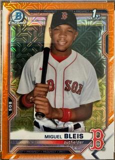 Miguel Bleis