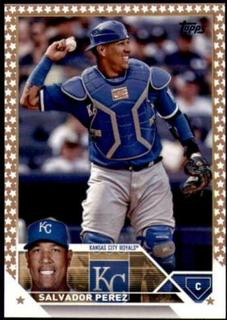 Salvador Perez