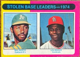 Stolen Base Leaders