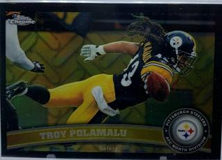 Troy Polamalu