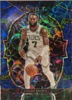 Jaylen Brown