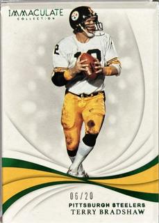 Terry Bradshaw