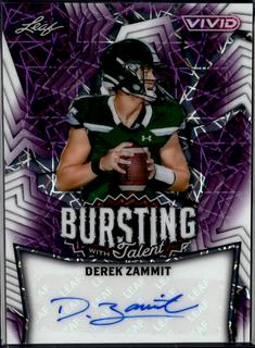 Derek Zammit