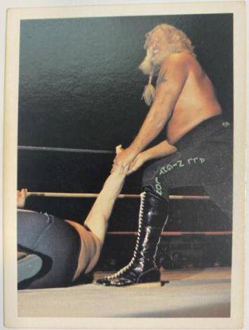 Jimmy Valiant #33 Wrestling Cards 1988 Wonderama NWA