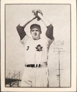 Ray Shore