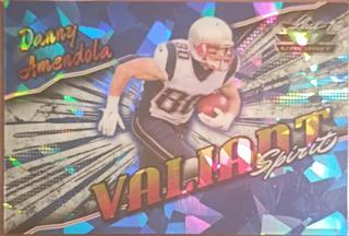 Danny Amendola