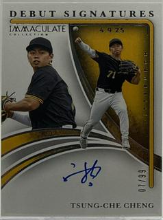 Tsung-Che Cheng