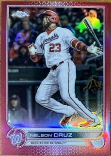 Nelson Cruz