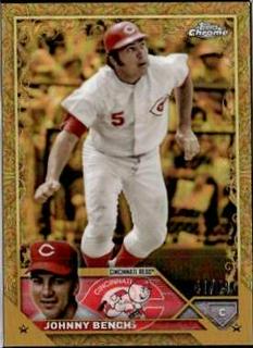 Johnny Bench