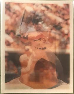 Steve Sax