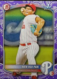 Wen-Hui Pan