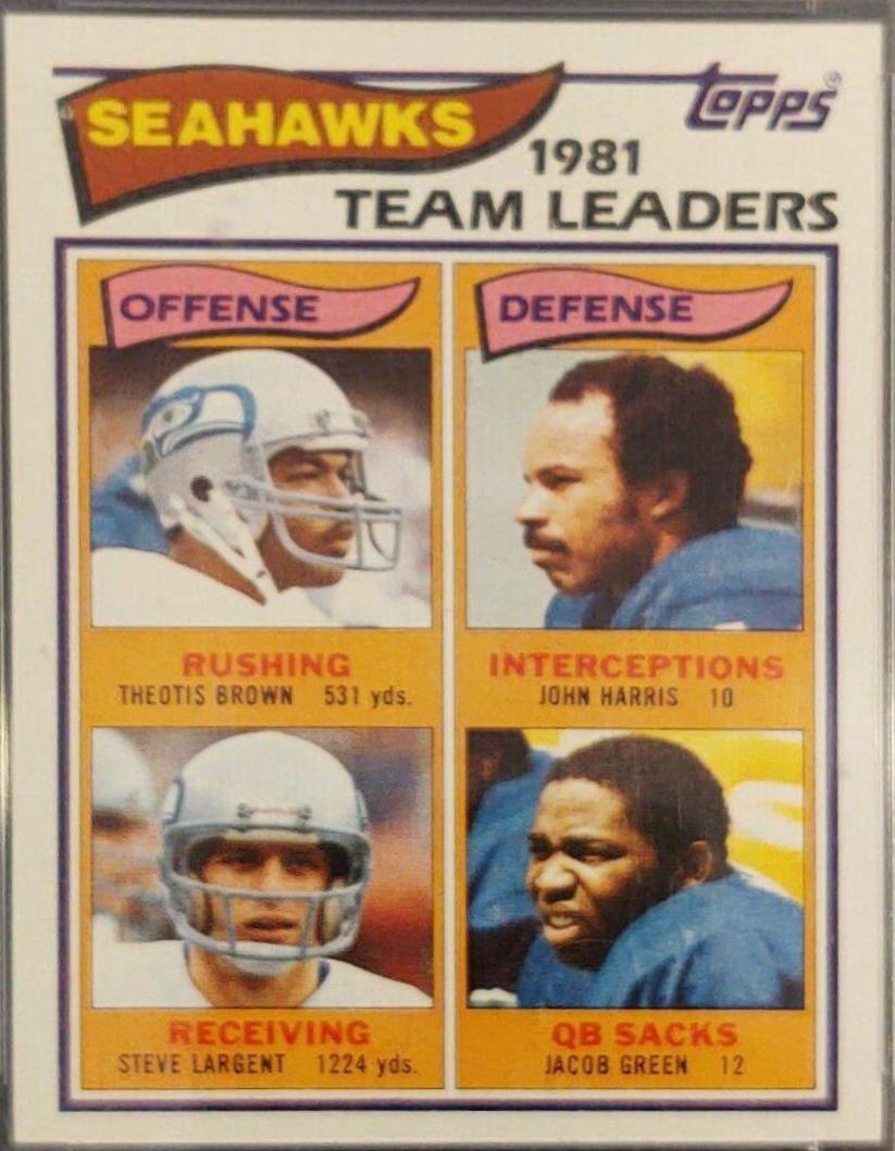 Seattle Seahawks [Team Leaders] #243