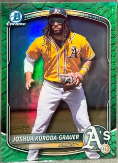 Joshua Kuroda-Grauer