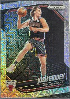 Josh Giddey