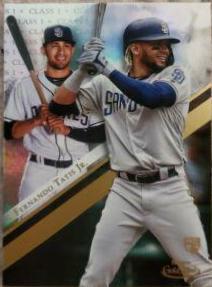 Fernando Tatis Jr.