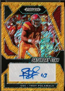 Troy Polamalu