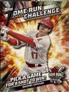 Shohei Ohtani
