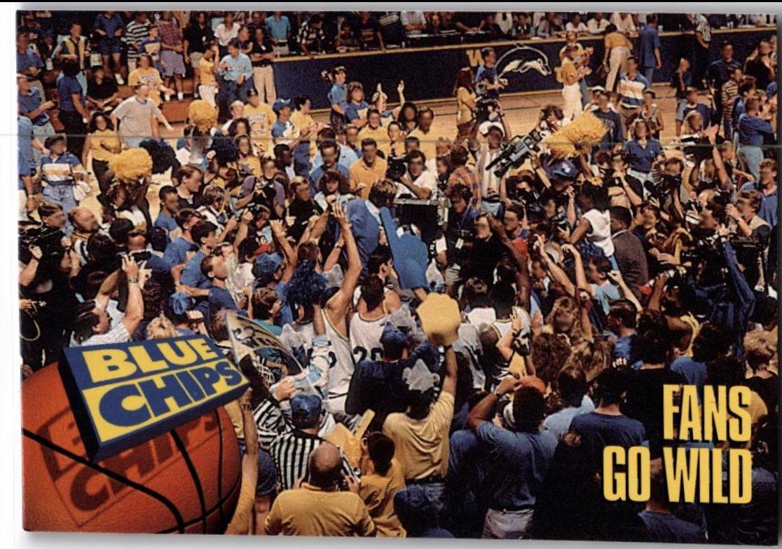 Fans Go Wild #43 Basketball Cards 1994 SkyBox Blue Chips