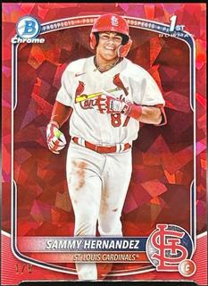 Sammy Hernandez