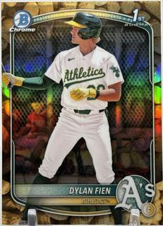 Dylan Fien