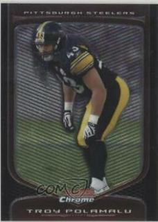 Troy Polamalu