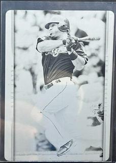 Vernon Wells