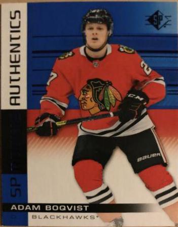 Adam Boqvist #102