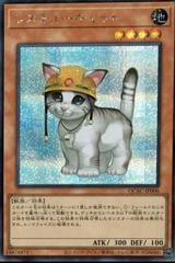 Rescue Cat [Secret Rare] QCAC-JP006
