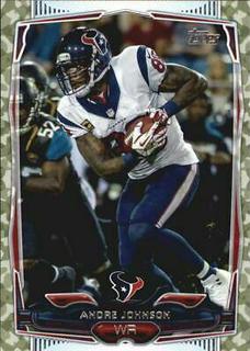 Andre Johnson