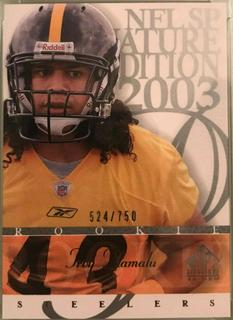 Troy Polamalu