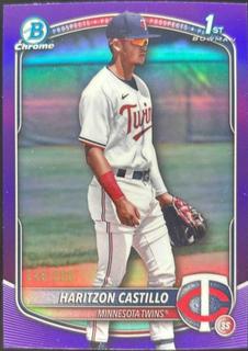 Haritzon Castillo