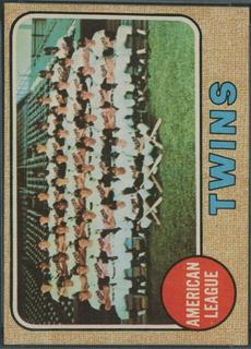 Twins Team