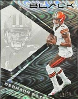 Deshaun Watson