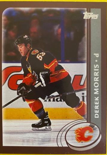 Derek Morris #238 Hockey Cards 2002 Topps